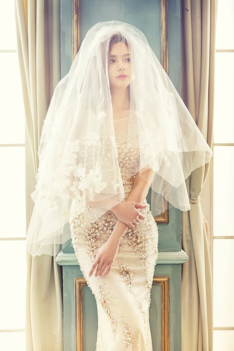 Chic Veils